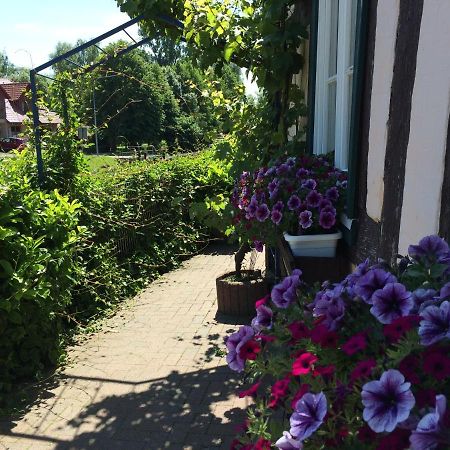 Appartements an der Schleuse Lübz Exterior foto